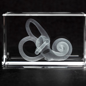Cochlea Crystal Art for Audiologist AUD and hearing Professionals