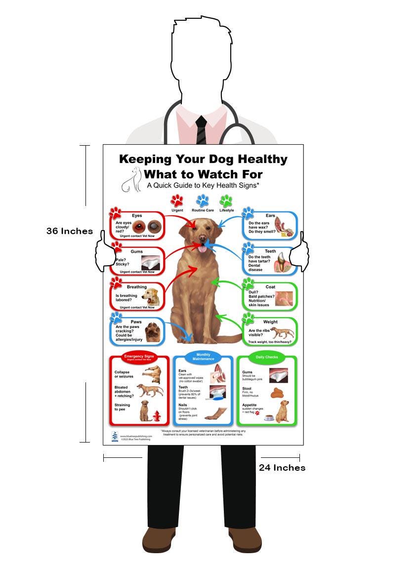 Keeping Your Dog Healthy Chart for Veterinary Reference, Dog Anatomy ...