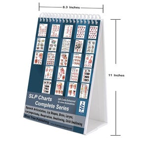 Speech Language Pathology SLP Charts Complete with QR Codes for Animation. Swallow, Brain, Larynx, Lungs, Speech, Voice.