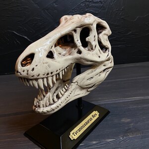 T-rex, Tyrannosaurus Rex Skull, Dinosaur Sculpture, Tyrannosaurus Rex ...
