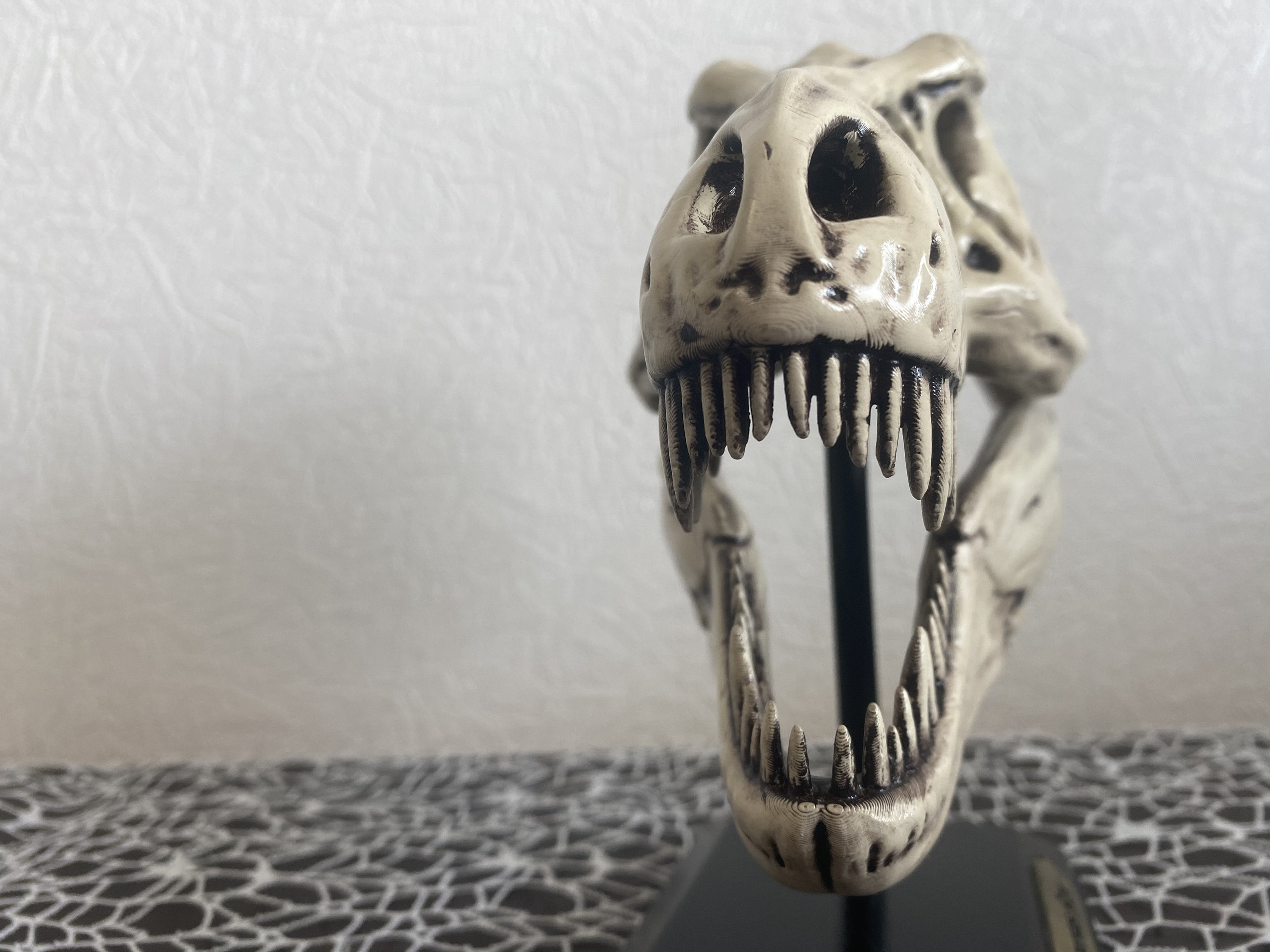 T-Rex Tyrannosaurus Rex Skull Dinosaur Sculpture | Etsy