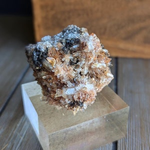 May include: A cluster of brown and clear quartz crystals on a clear acrylic display stand. The crystals are arranged in a natural, organic shape.