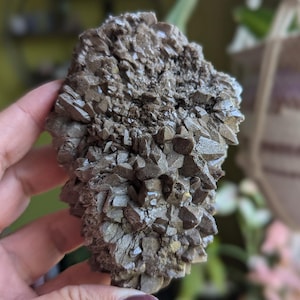 Chocolate Dog Tooth Calcite Specimen, Dog Toothed Spar, Crystal Calcite for Grounding, Raw Mineral Specimen, Natural Stone & Unique Mineral