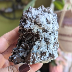Spécimen de dent de chien givrée en calcite DogTooth chocolat, espar denté de chien, cristal de calcite pour la mise à la terre, spécimen minéral brut, pierre naturelle
