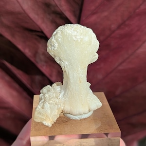 Stilbit Bow Specimen, Zeolith Mineral aus Indien, Sammlerstück Kristall