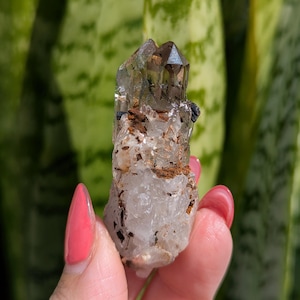 Smoky Quartz Point with Aegirine, Beautiful Mineral Specimen from Malawi Africa, Aegirine on Quartz Crystal, Rare Crystals for Collectors