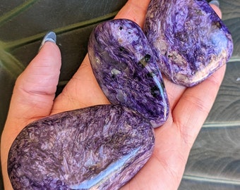 Charoite Palm Stones and Freeforms, Natural Charoite Crystals, Rare Minerals and Gemstones, Chakra Healing & Meditation Crystals