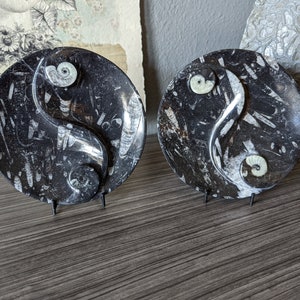 Orthoceras and Ammonite Ying Yang Fossil Plate, Decorative Plates and Dishes for Home Decorating, Fossils and Mineral Collector Pieces