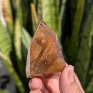 Rutilated and Amphibole Quartz, Highly Saturated Rutile Quartz from Brazil, Golden Rutile and Amphibole Hair, Unique Crystals & Palmstones