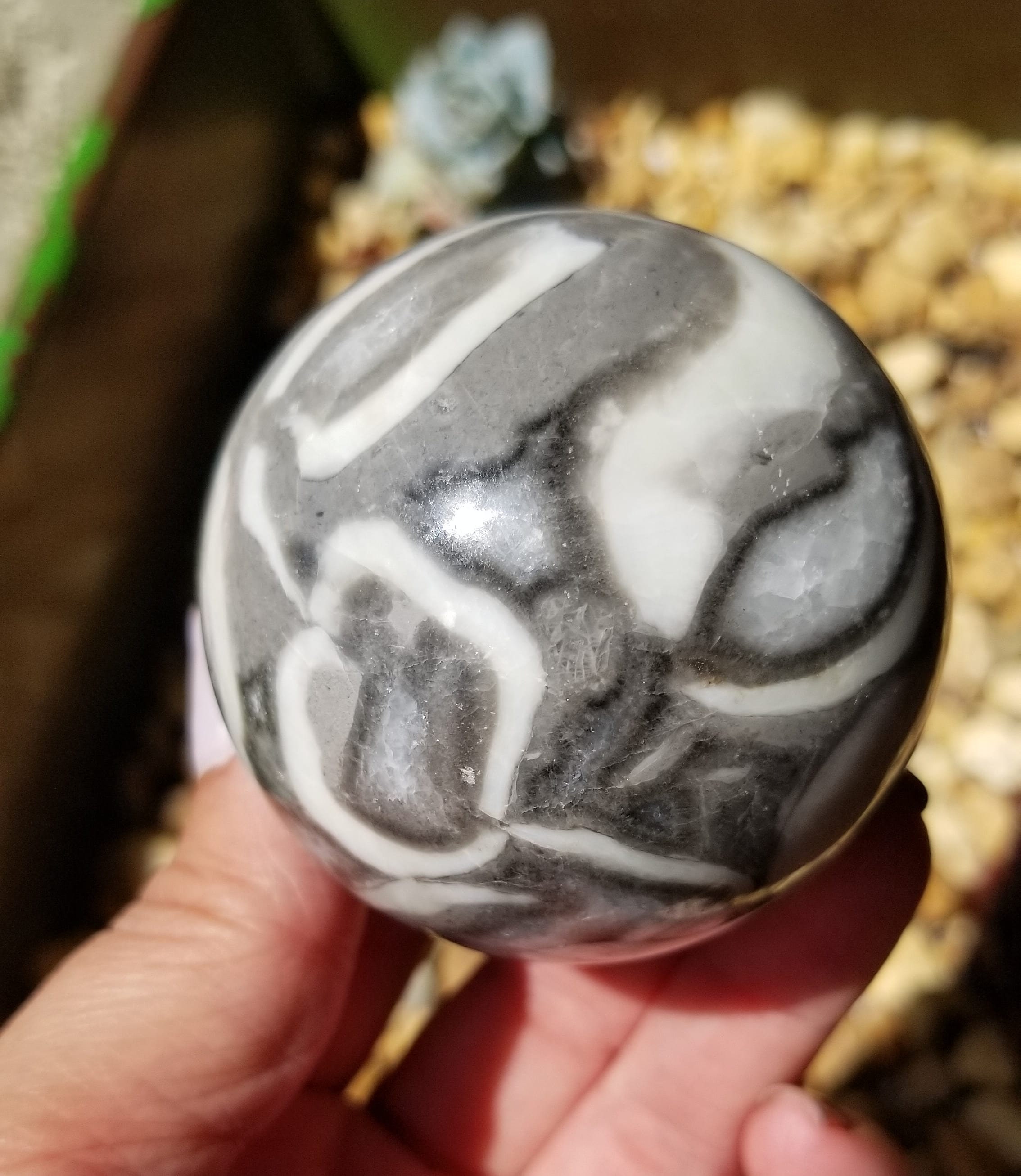 Fossil Shell Jasper for Strength & Grounding Crystal Sphere Etsy