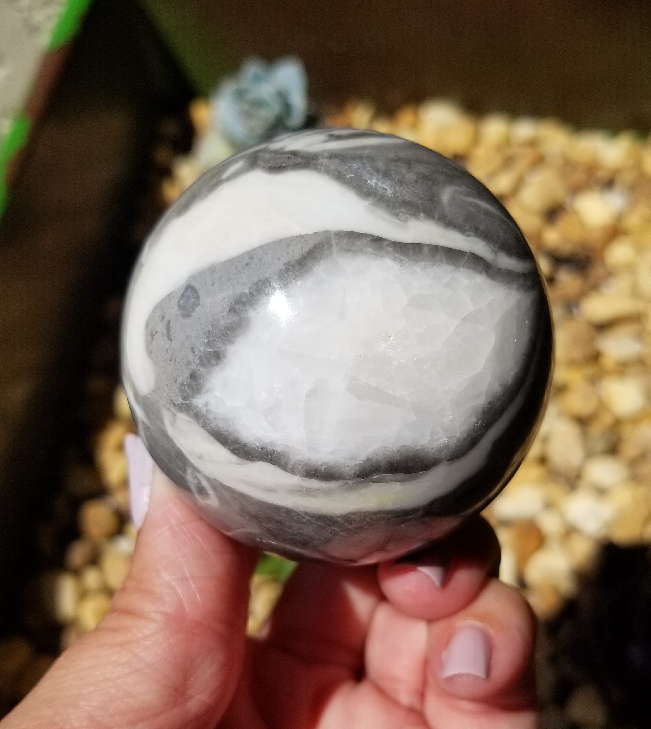 Fossil Shell Jasper for Strength & Grounding Crystal Sphere Etsy