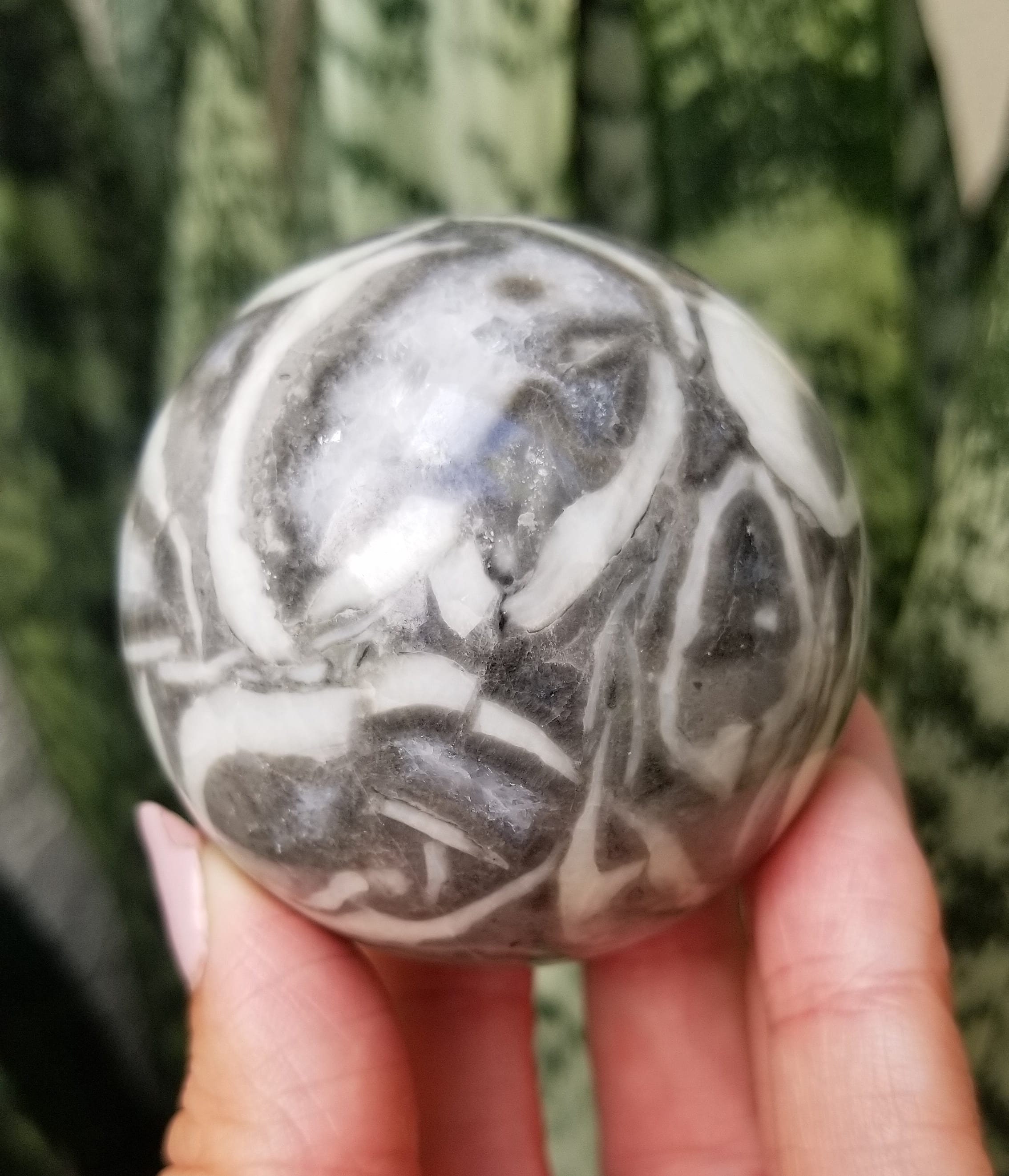 Fossil Shell Jasper for Strength & Grounding Crystal Sphere Etsy