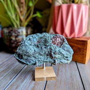 May include: A dark green mineral specimen with red inclusions, displayed on a small, gold-coloured stand. The stone is set against a backdrop of plants in pots and a wooden block, creating a natural aesthetic.