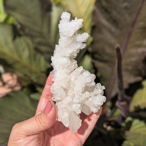 Cave Calcite aka White Aragonite from Chihuahua Mexico, Beautiful Mineral Specimen, Sparkling Ice Crystals, Unique Minerals for Collectors