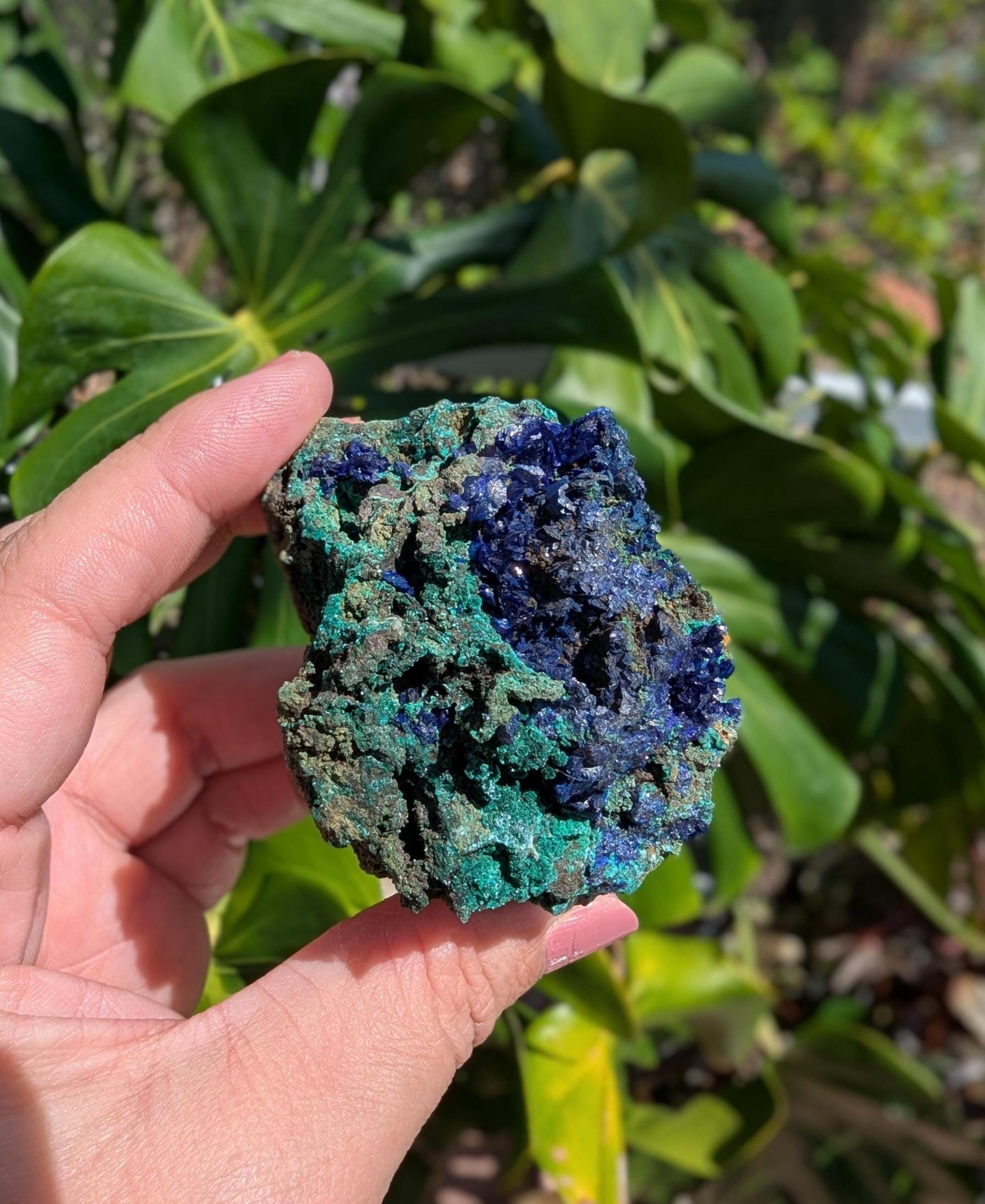 Azurite & Malachite Specimen, Mossy Malachite with Gemmy Blue Azurite, Unique Cabinet Minerals, Collector Crystals