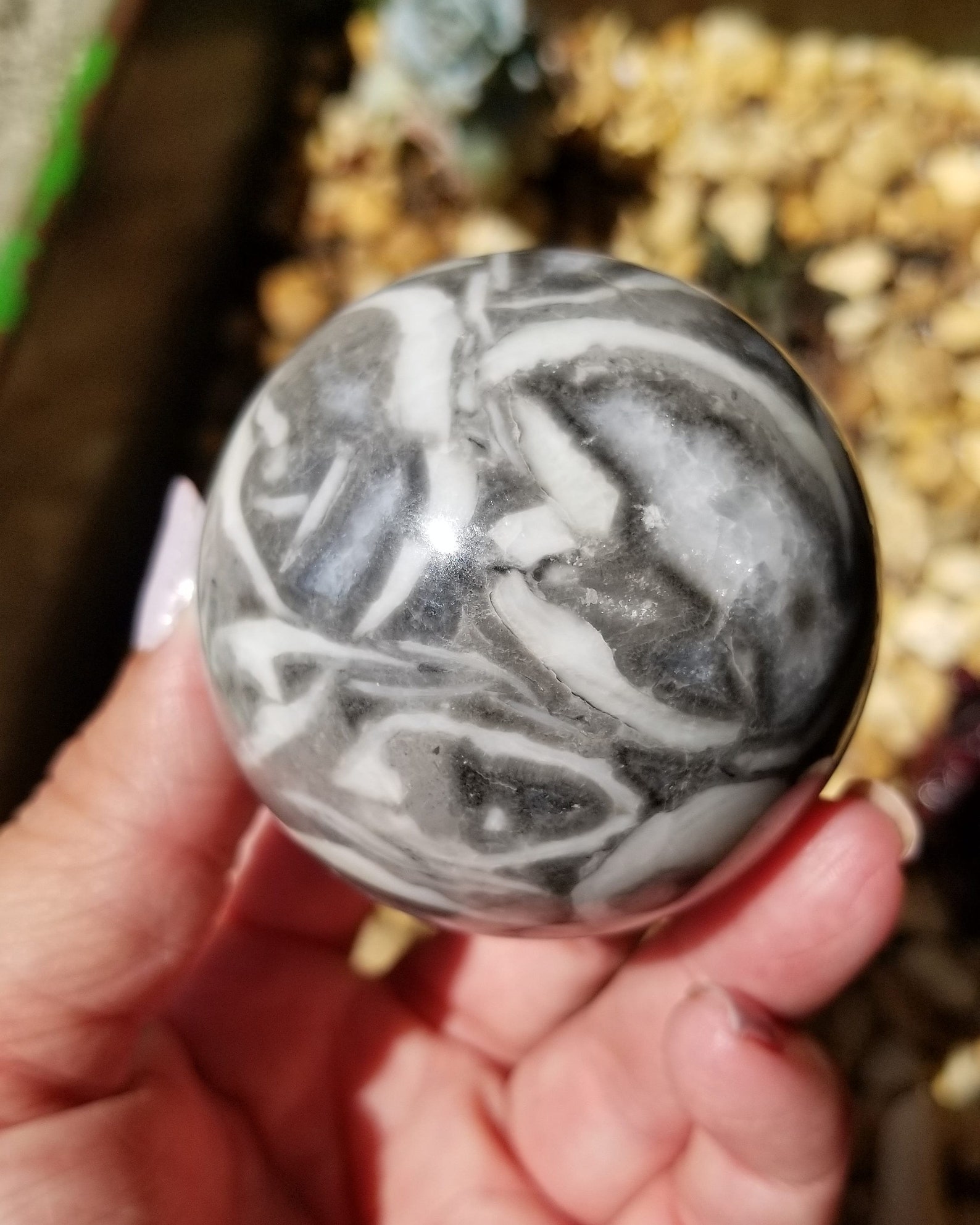 Fossil Shell Jasper for Strength & Grounding Crystal Sphere Etsy