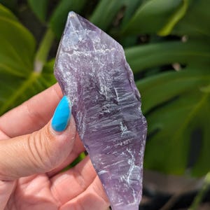 Small Bahia Amethyst Root from Brazil, Natural Dragon&#39;s Tooth Amethyst, Crystal Quartz Gemstones, Third Eye Chakra Healing, Scepter Wands