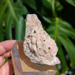 Pink Dolomite Specimen with Chalcopyrite, Unique Collector Crystals and Gems, Dolomite from Morocco