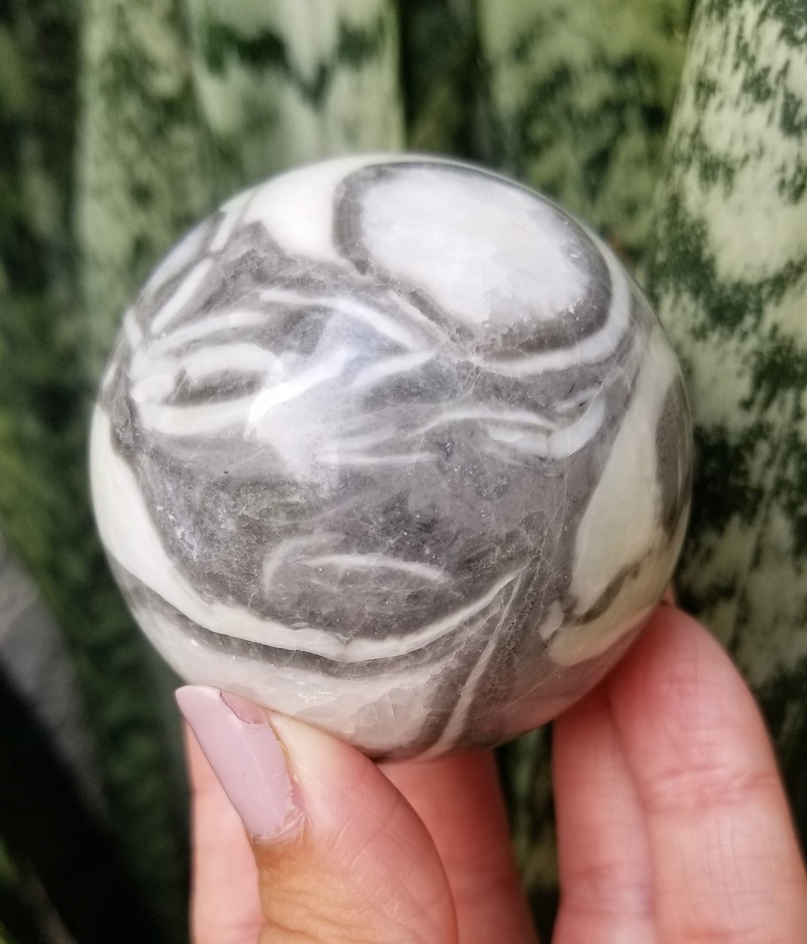 Fossil Shell Jasper for Strength & Grounding Crystal Sphere Etsy