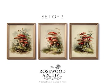 Antique Mushroom Print Set of 3: Red Toadstool Botanical Art (Digital Download) 139