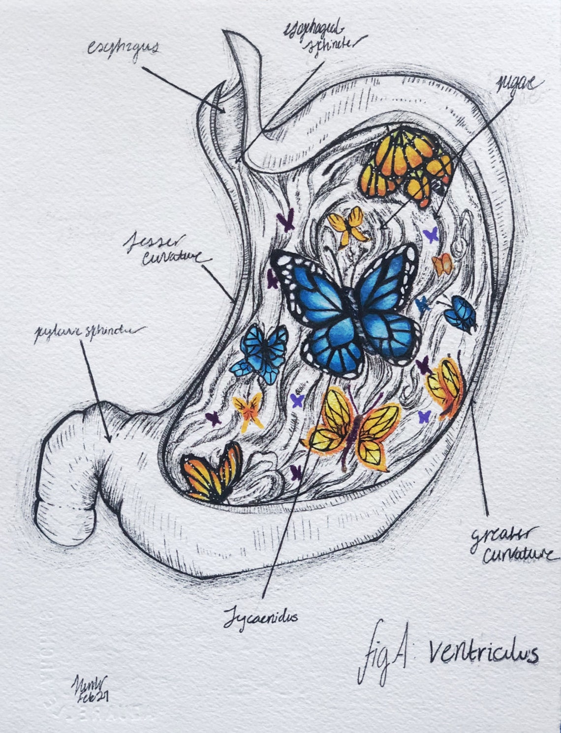 Butterflies in the Stomach PRINT Etsy