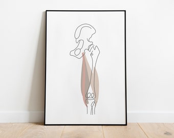 muscles of the posterior thigh | abstract art printable, minimalist line drawing, physiotherapy art print, medicine decor