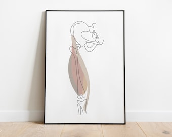 muscles of the anterior thigh | abstract art printable, minimalist line drawing, physiotherapy art print, medicine decor