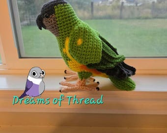 Crochet Sengal Parrot: Handmade Realistic Bird, Pet Gift