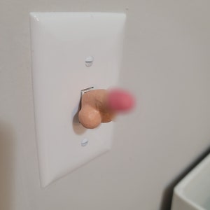 May include: A white light switch with a decorative knob in the shape of a human body part.