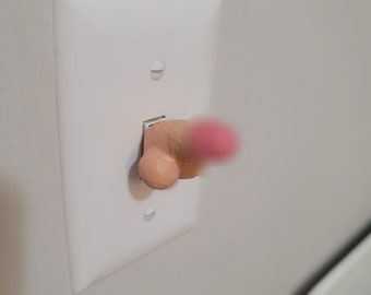 Hung Like a Light Switch 2-Pack (The Original Penis Light Switch Prank) Tiny Rubber Dicks