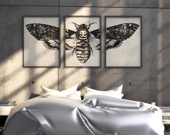 Ensemble imprimable d'art mural papillon de nuit gothique, impressions d'insectes botaniques sombres, téléchargement numérique de papillons de nuit tête de mort, lot de 3 impressions