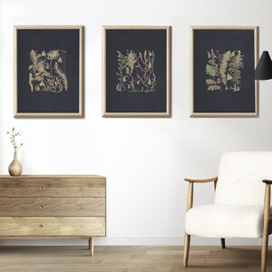 Fern Wall Art, Black Background, Set of 3 Prints, Moss Print, Fern ...