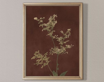 Impresión botánica oscura: Arte de hierbas y flores silvestres (descarga digital)