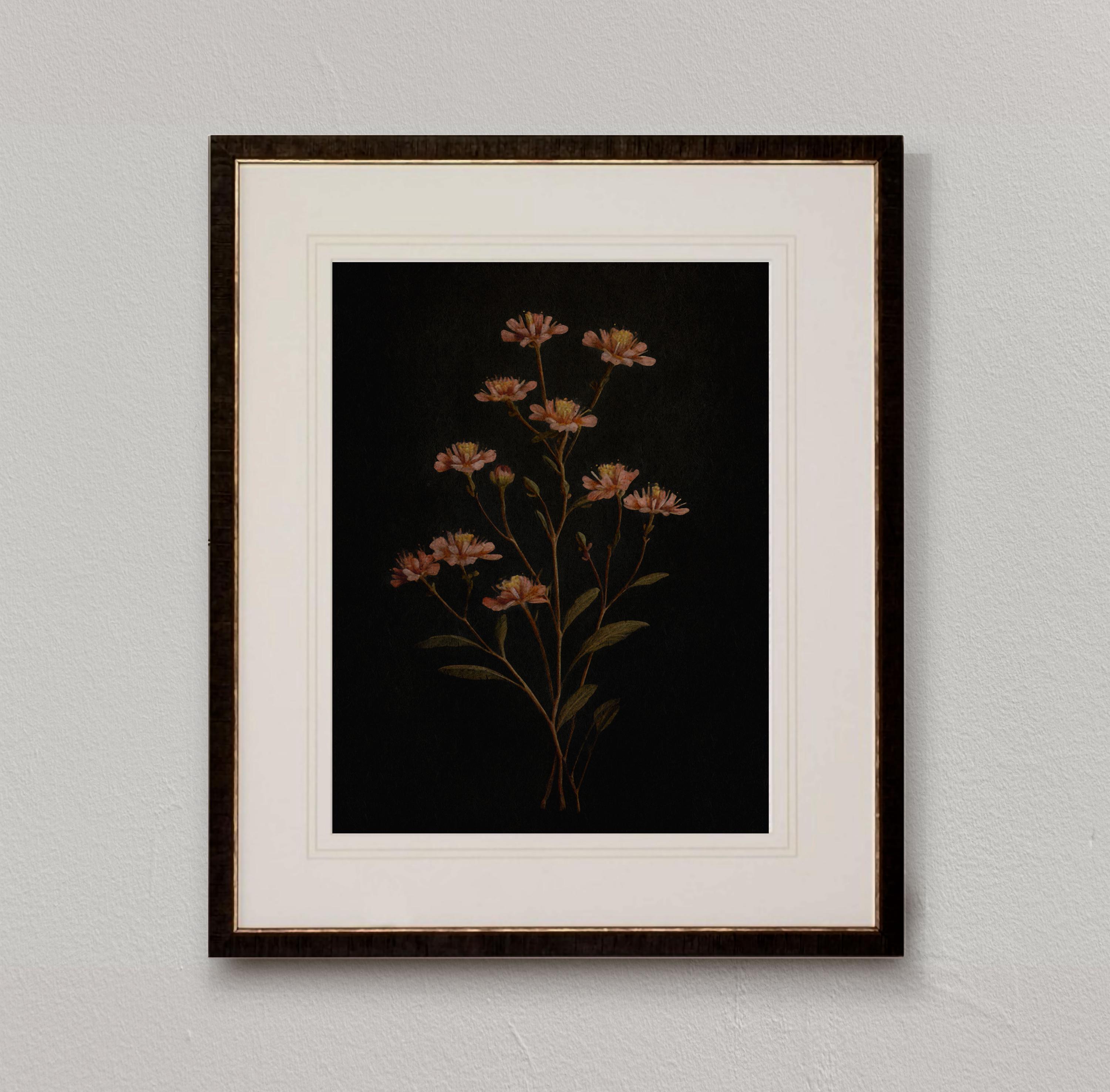 Dark Floral Print: Moody Botanical Wall Art (digital Download) - Etsy