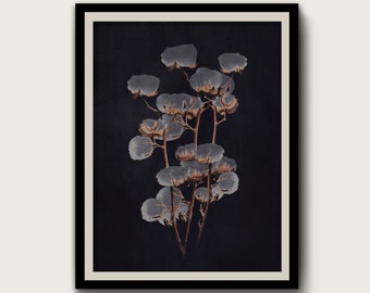 Dark Cotton Flower Print, Moody Floral Wall Art, Vintage Botanical Poster, Black Flower Artwork,  Digital Download