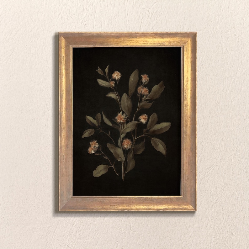 K&ouml;nnte beinhalten: Ein gerahmter botanischer Druck mit einem zarten Zweig wei&szlig;er Bl&uuml;ten mit gr&uuml;nen Bl&auml;ttern vor schwarzem Hintergrund. Der Rahmen ist golden mit einer abgenutzten Oberfl&auml;che.