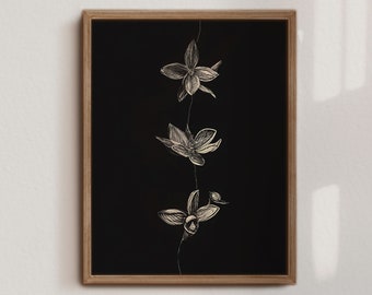 May include: A black and white line drawing of three flowers on a black background. The flowers are stylized and have a delicate, feminine feel.