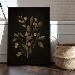 K&ouml;nnte beinhalten: Ein Schwarzwei&szlig;-Botanischer Druck mit einem zarten Zweig mit Bl&uuml;ten mit hellrosa Bl&uuml;tenbl&auml;ttern und gr&uuml;nen Bl&auml;ttern. Der Druck ist in einem schwarzen Rahmen gerahmt.