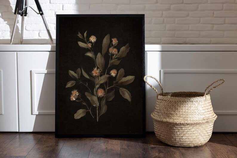 K&ouml;nnte beinhalten: Ein Schwarzwei&szlig;-Botanischer Druck mit einem zarten Zweig mit Bl&uuml;ten mit hellrosa Bl&uuml;tenbl&auml;ttern und gr&uuml;nen Bl&auml;ttern. Der Druck ist in einem schwarzen Rahmen gerahmt.