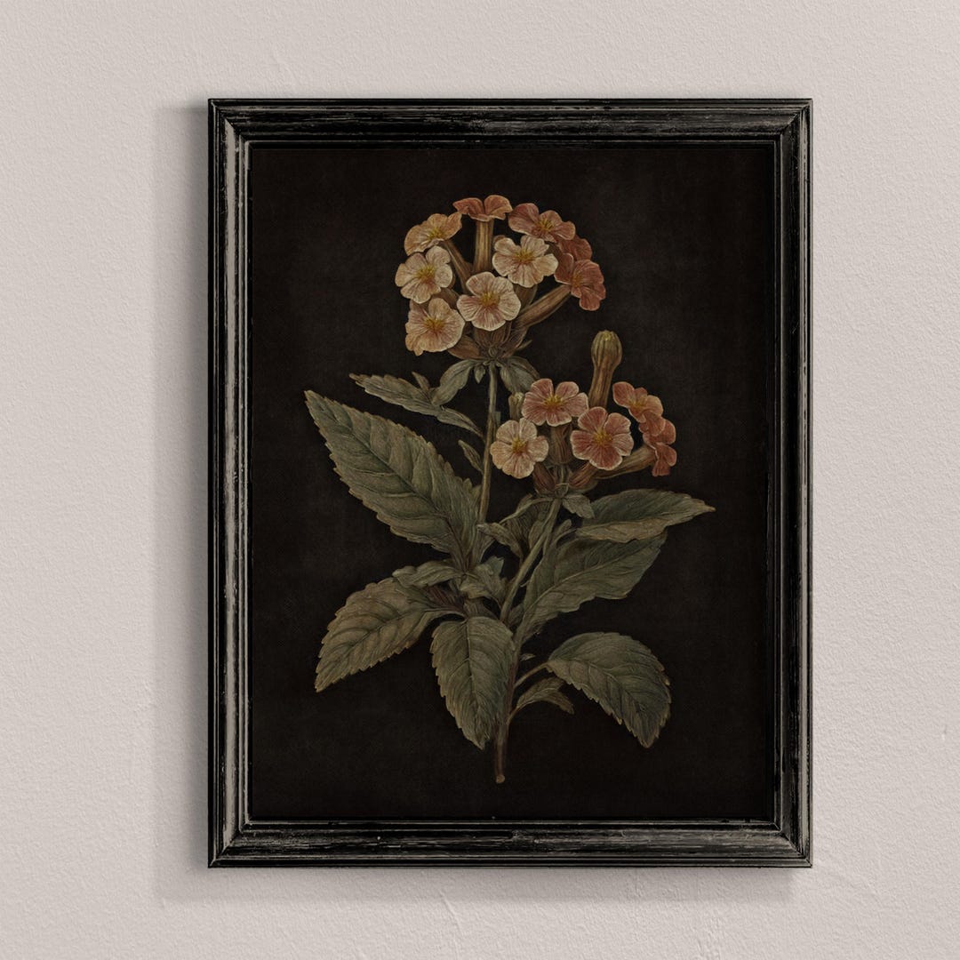 Vintage Dark Floral Print: Moody Botanical Wall Art (digital Download ...