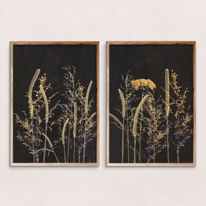 Natur Poster, botanischer Druck, botanischer Druck, Wildblumen, botanisches Poster, schwarzes Poster, Pflanzendruck, Kräuter Illustration