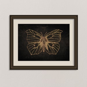Vintage butterfly print, dark wall decor, butterfly wall art, black background print, gothic poster, black butterfly art, insect print