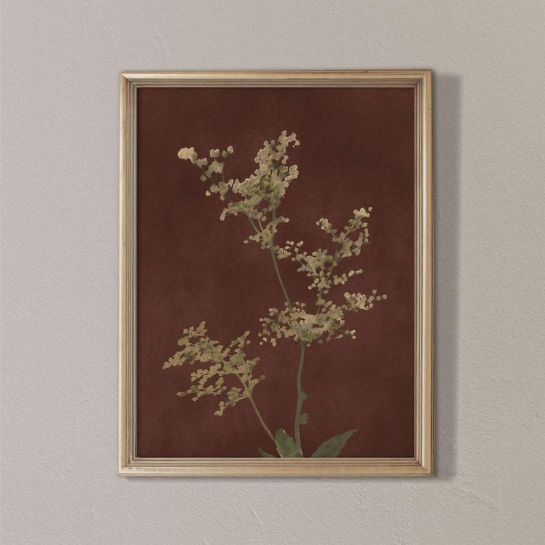 Op de afbeelding: Een ingelijste print van een botanische illustratie met een delicate, gedroogde bloem in een lichtgroen en bruin kleurenschema tegen een dieprode achtergrond.