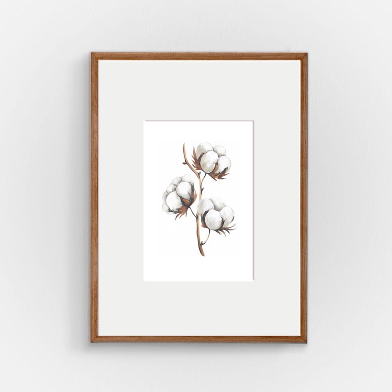 Cotton Plant Print: White Botanical Wall Art (digital Download) - Etsy