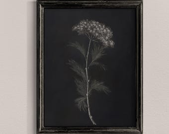 Wildflower Botanical Print: Moody Black and White Floral Art (Digital Print)