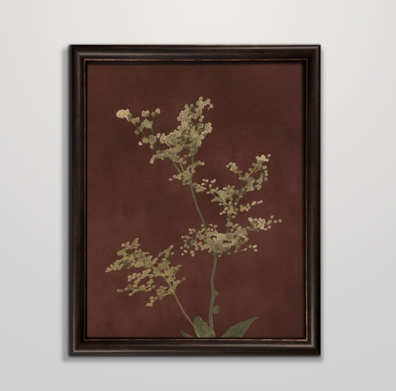 Op de afbeelding: Een ingelijste print van een botanische illustratie met een delicate, lichtgroene plant met witte bloemen op een donkerbruine achtergrond.