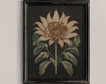 Vintage Botanical Flower Print: Dark Moody Floral Art (Digital Print)