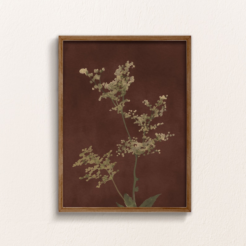 Op de afbeelding: Een ingelijste print van een botanische illustratie met een delicate, lichtgroene plant met witte bloemen op een dieprode achtergrond.