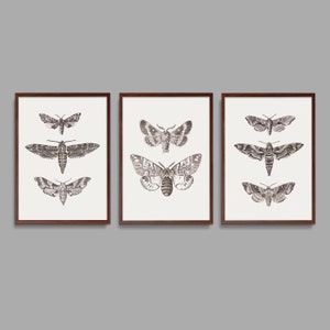 Black & White Butterfly Moth Prints Set: Vintage Sketch Art (Digital Download)