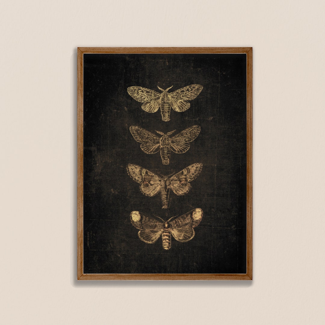 Vintage Moth Print: Butterfly Dark Botanical Wall Art (digital Download ...
